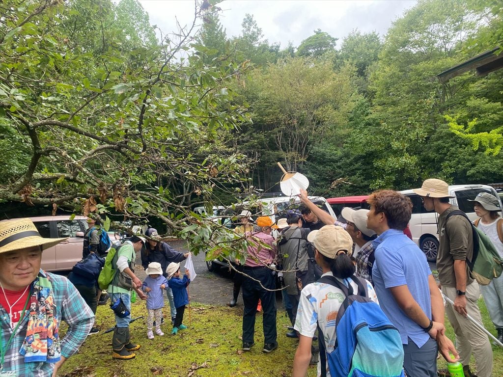 9月の自然観察会