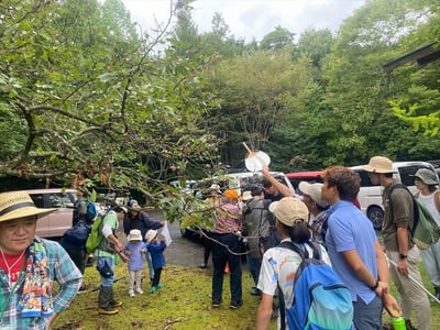 9月の自然観察会