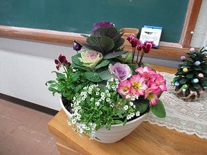 12月の寄せ植え教室