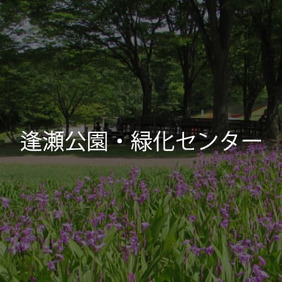 ハーブのリースづくり