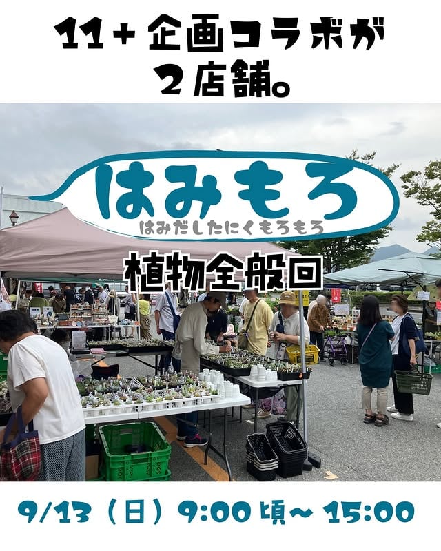 はみもろ
