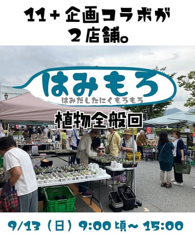 はみもろ