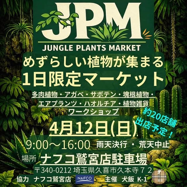 JUNGLE PLANTS MARKET