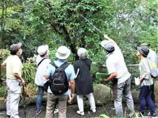 10月の植物観察会 ※当日受付