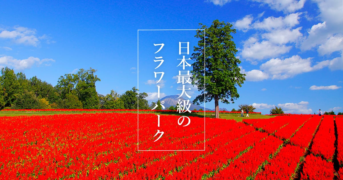 《追加募集》ササユリ教室