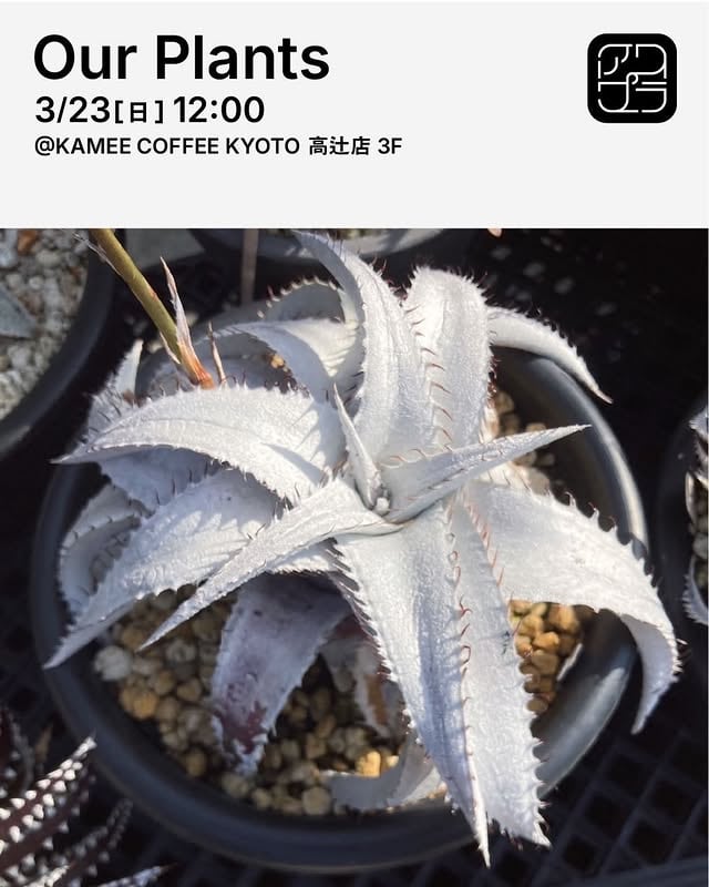 Our Plants