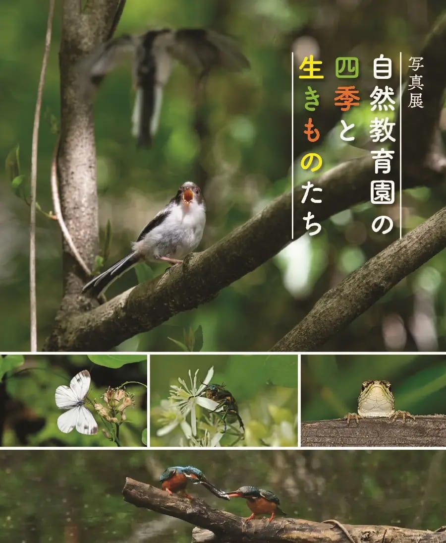 写真展「自然教育園の四季と生きものたち」