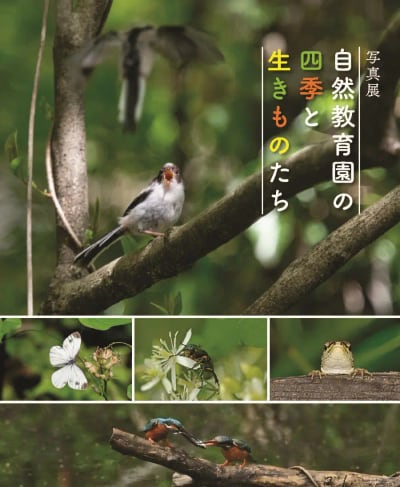 写真展「自然教育園の四季と生きものたち」