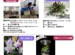 盆栽お悩み相談
