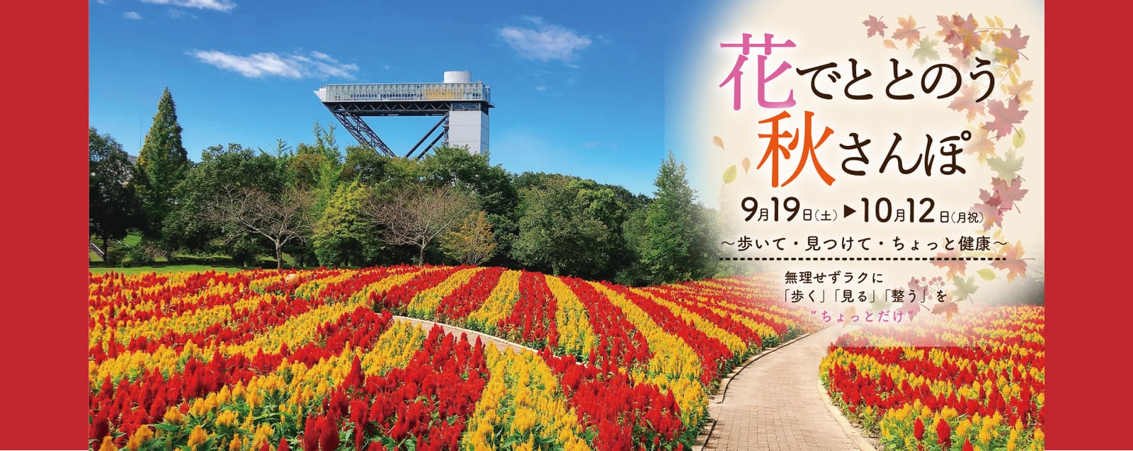 花でととのう秋さんぽ