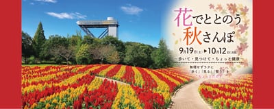 花でととのう秋さんぽ