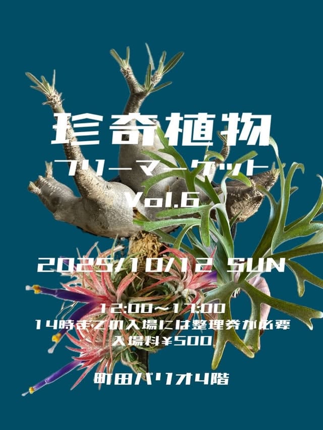 第6回 珍奇植物フリーマーケット