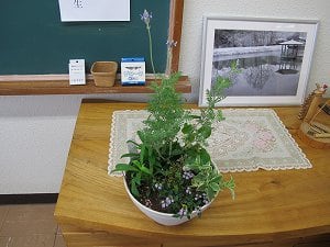10月の寄せ植え教室