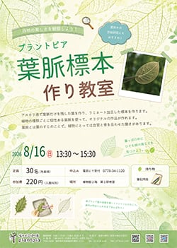 葉脈標本作り教室