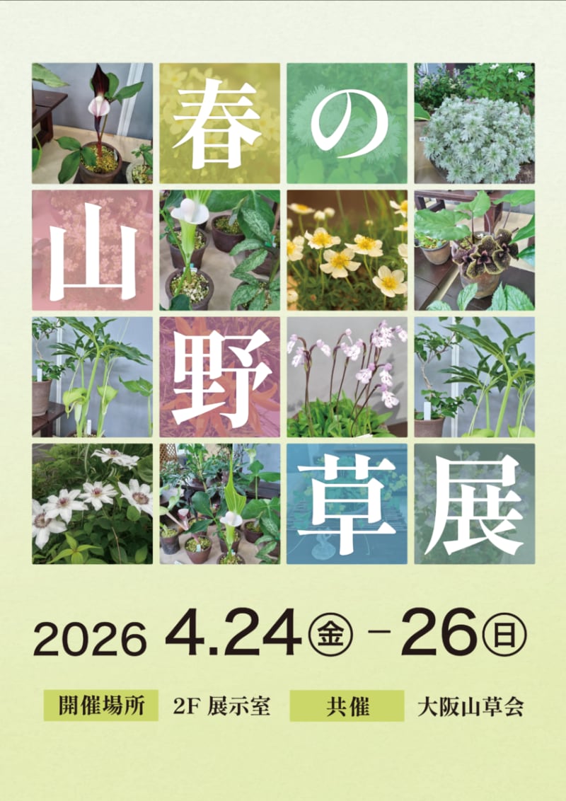 春の山野草展