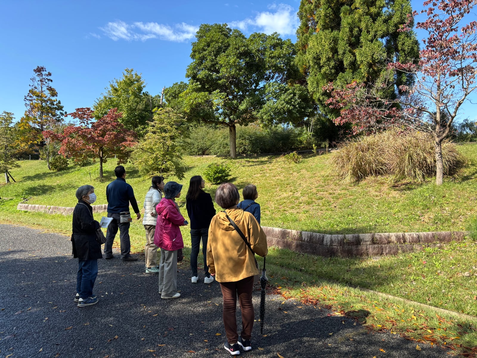 花と緑の教室「園内解説walk~園内の紅葉・果実をみにいこう!~」