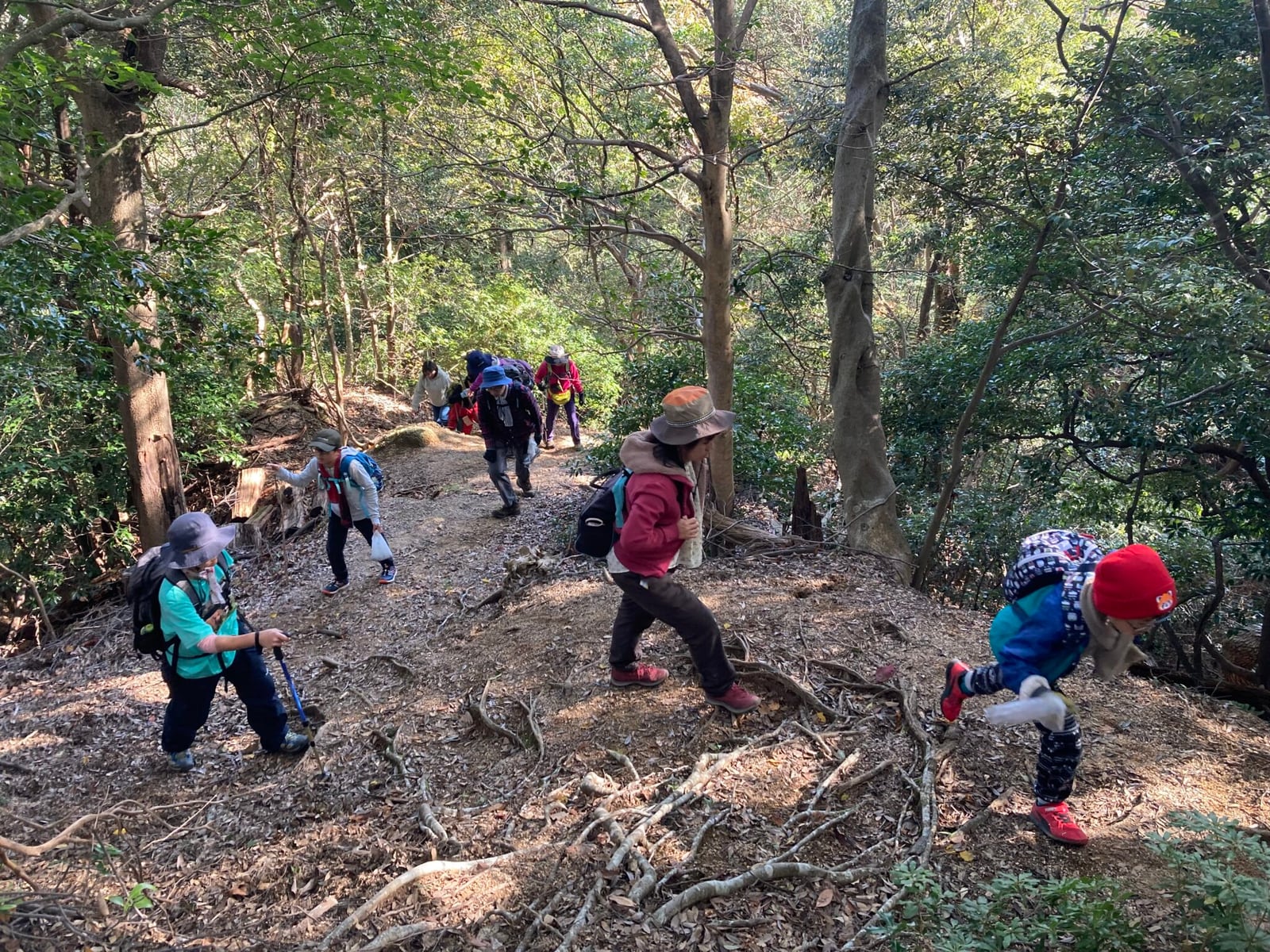 初夏の尾高山ハイキング