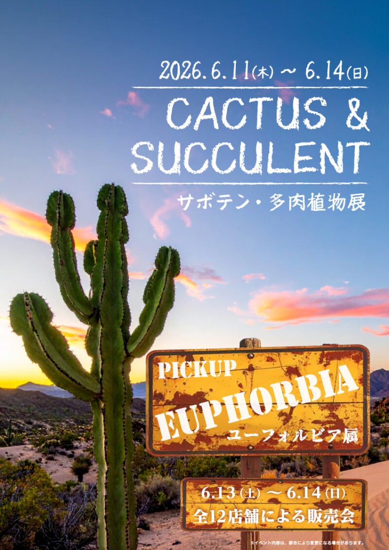 サボテン・多肉植物展 ーユーフォルビア属ー