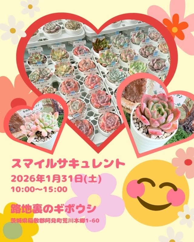 スマイルサキュレント