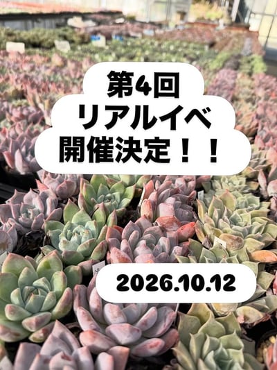 第4回リアルイベ