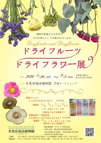 ドライフラワードライフルーツ展 - 最新.jpg