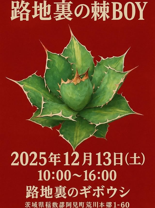 路地裏の棘BOY