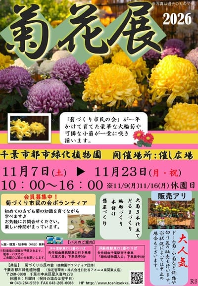 『菊花展』