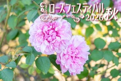 【予告】ローズフェスティバル2026～秋～