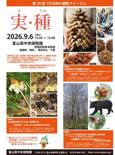 第34回 TOYAMA植物フォーラム 実・種（2026年）