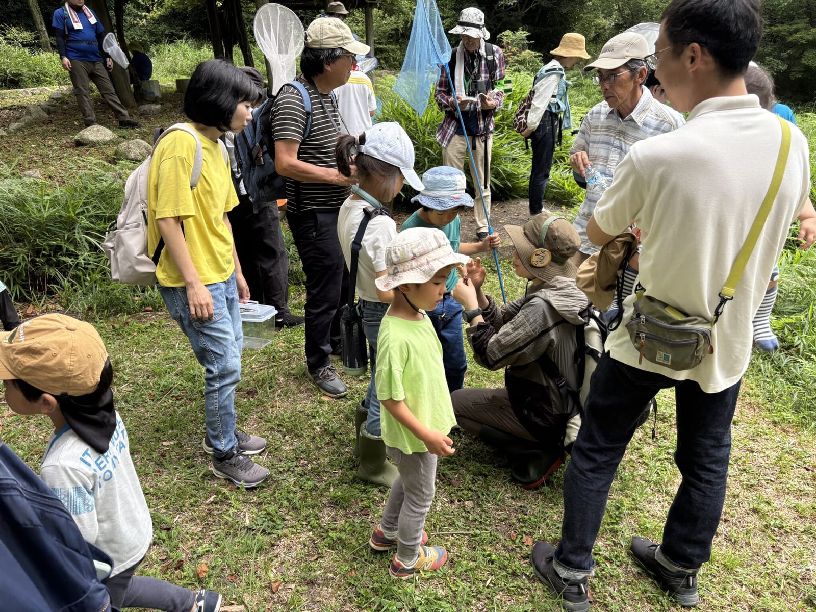 8月の自然観察会
