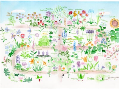 藤川志朗｢花のイラスト展｣