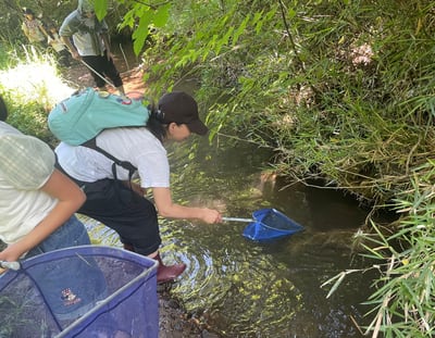 みちのくPARKプチボラ体験「川の生き物を調べよう」 イメージ画像1