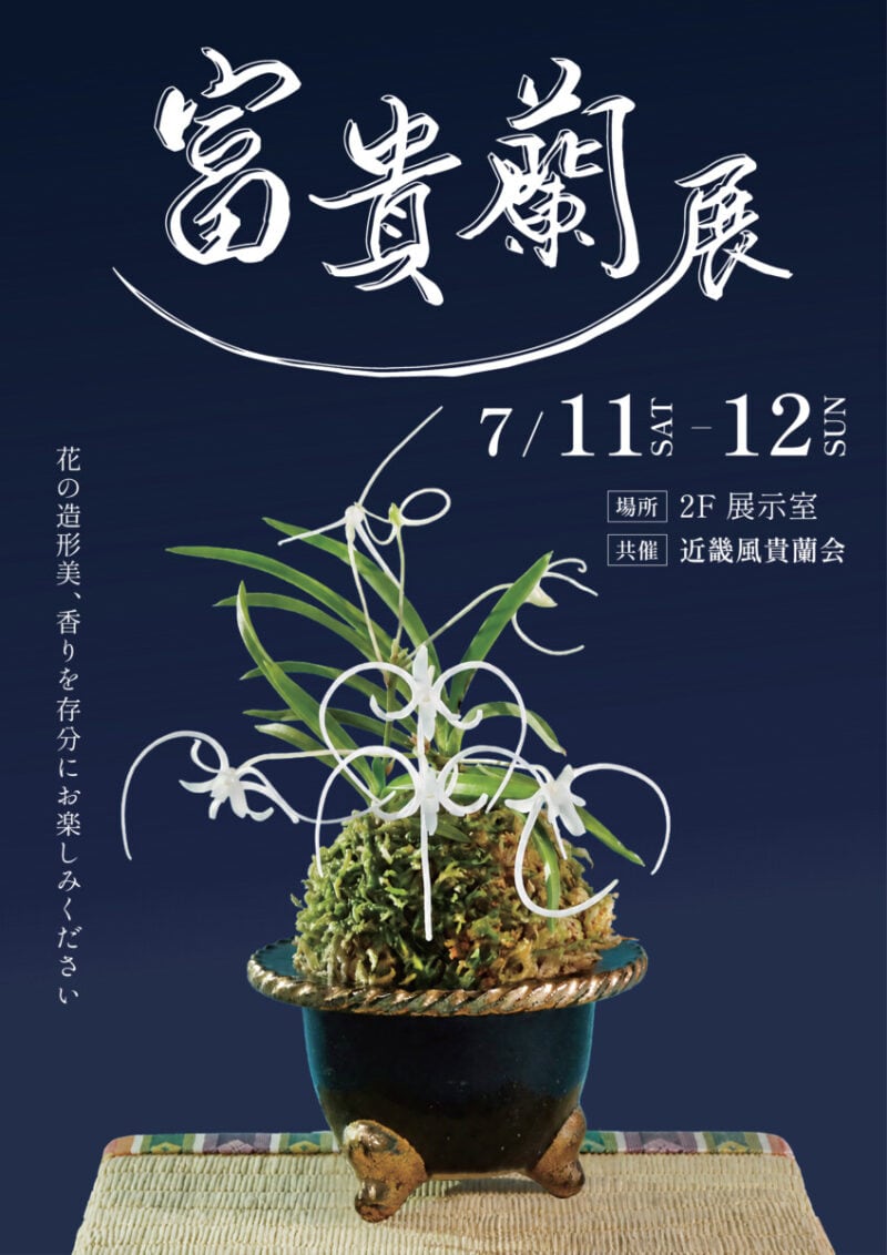 富貴蘭展
