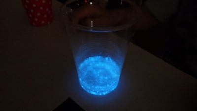 観察イベント「ウミホタルはなぜ光る？」