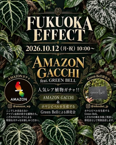AMAZON GACCHI feat. GREEN BELL