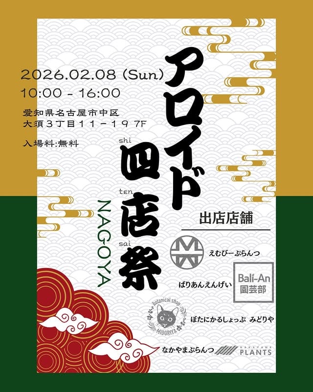 アロイド 四店祭