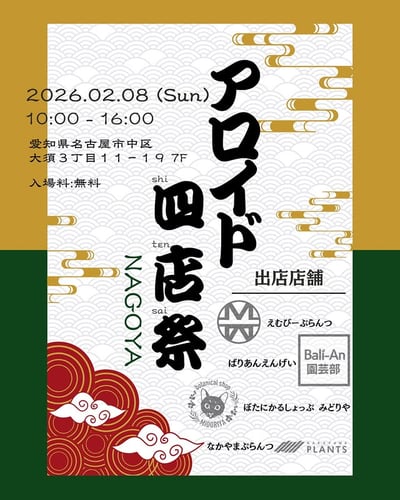 アロイド 四店祭