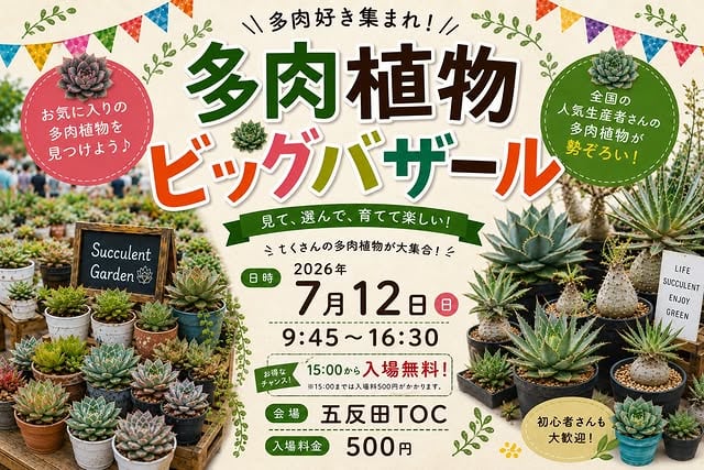 多肉植物ビッグバザール