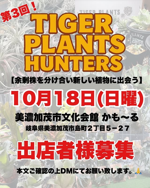 TIGER PLANTS HUNTERS