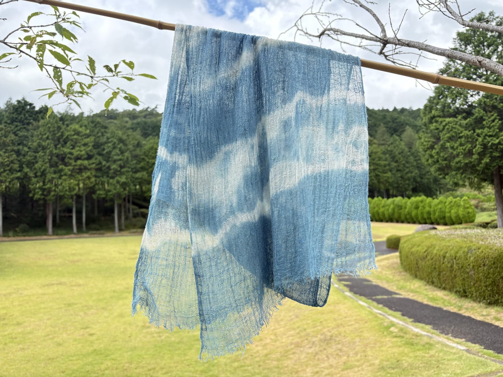 大人の草木染め～藍の乾燥葉染め～
