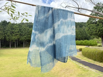 大人の草木染め～藍の乾燥葉染め～
