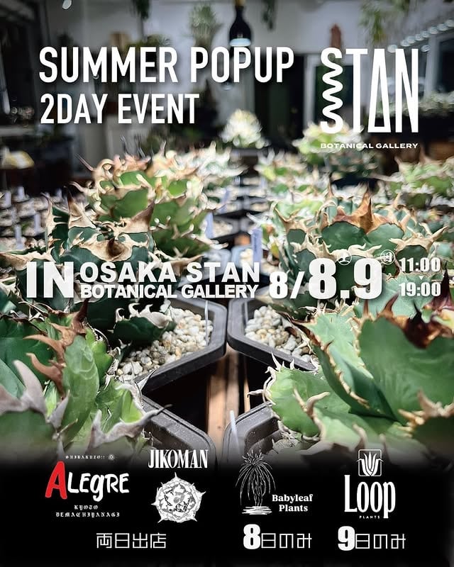 SUMMER POPUP