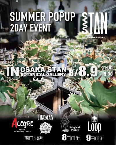 SUMMER POPUP