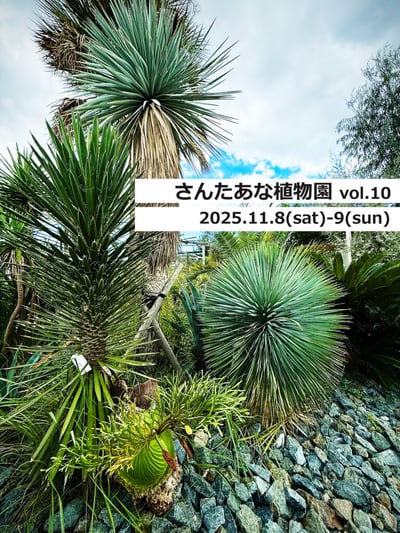 さんたあな植物園 vol.10