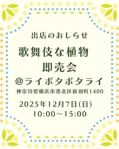 歌舞伎な植物 即売会