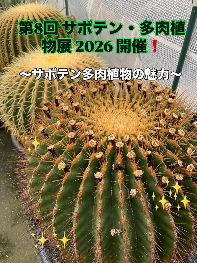 第8回 サボテン・多肉植物展 2026（掛川花鳥園 花の大温室）｜2026年10