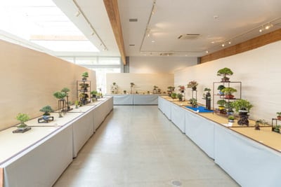 第39回神奈川県小品盆栽連合展