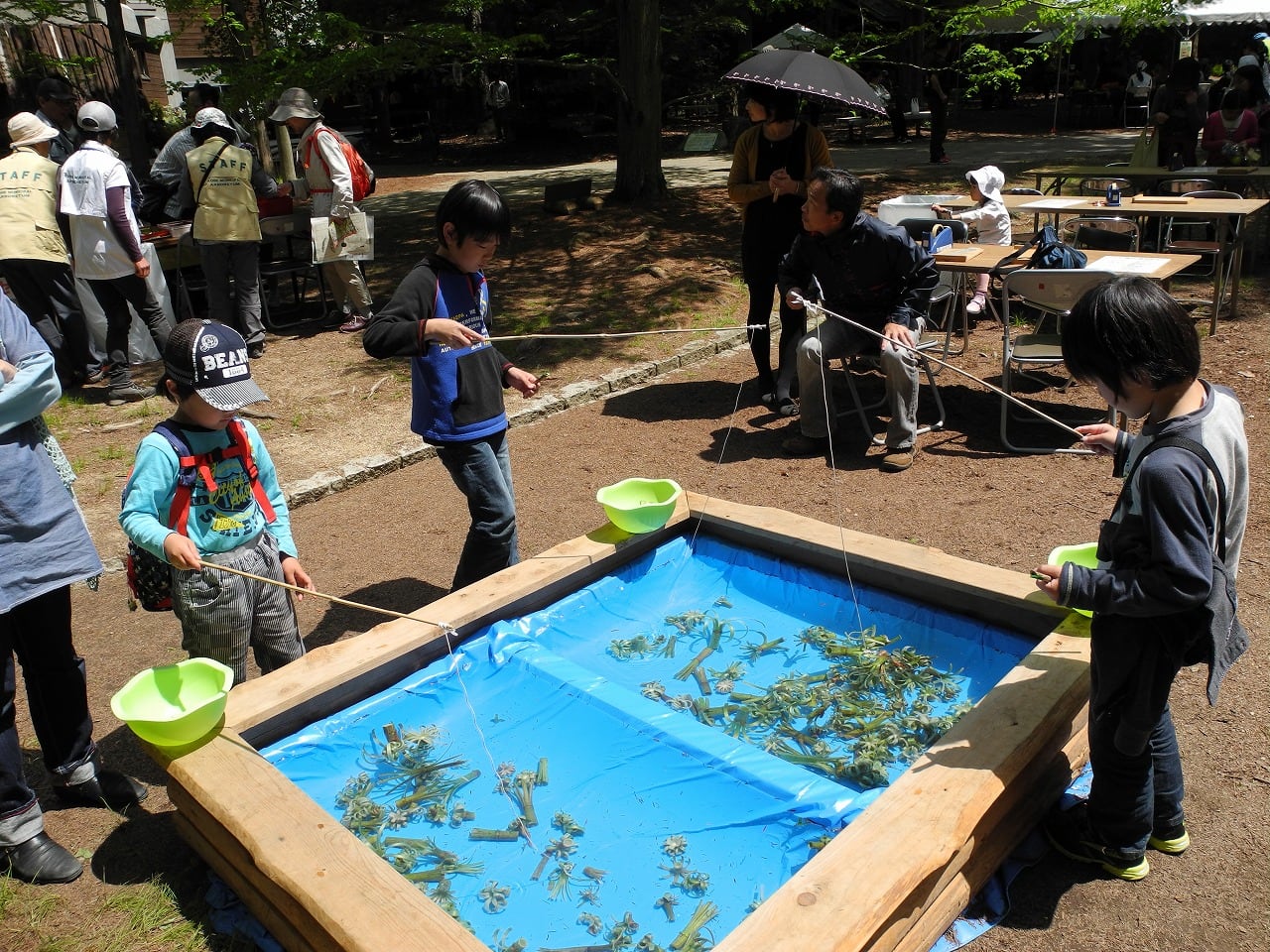 春の草木と遊ぼう