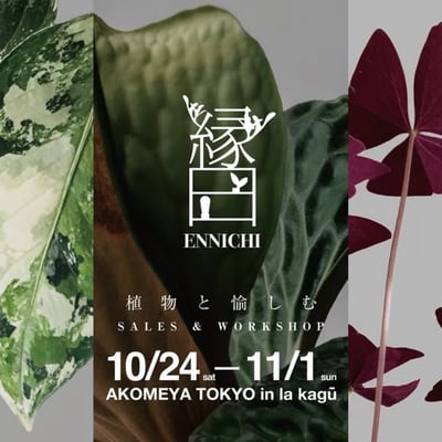 縁日