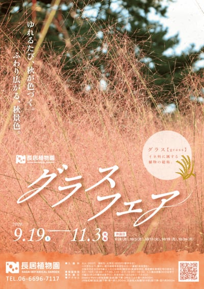 スワッグづくり